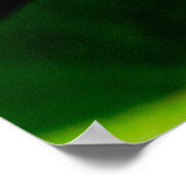 italienische Mauereidechse Poster (Ecke)