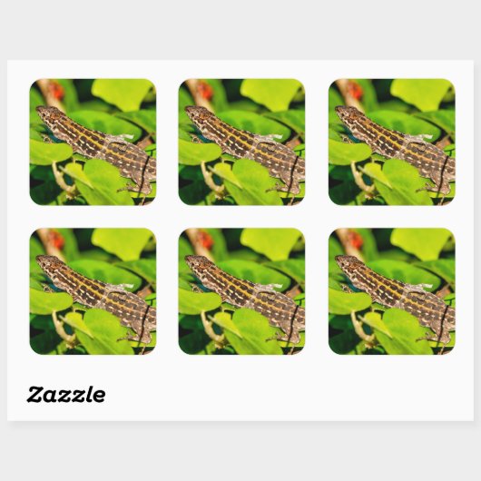 italienische Mauereidechse Quadratischer Aufkleber (Blatt)