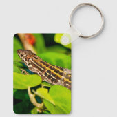italienische Mauereidechse Schlüsselanhänger (Rückseite)