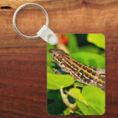italienische Mauereidechse Schlüsselanhänger (Vorderseite)