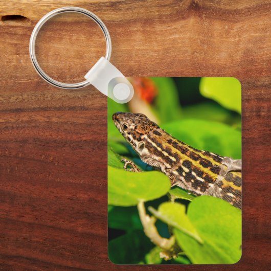 italienische Mauereidechse Schlüsselanhänger (Vorderseite)