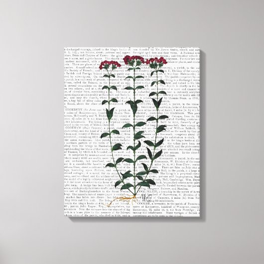 Italienische Narbe Leinwanddruck (Vorderseite)