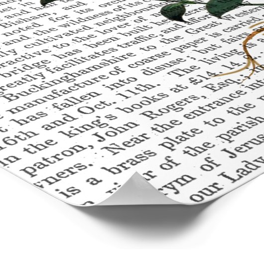 Italienische Narbe Poster (Ecke)