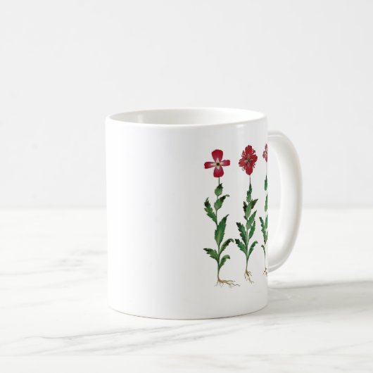 Italienische Nelke 1 Kaffeetasse (VorderseiteRechts)