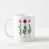 Italienische Nelke 1 Kaffeetasse (Links)