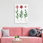 Italienische Nelke 1 Leinwanddruck (Insitu (Wohnzimmer))