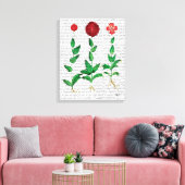 Italienische Nelke 2 Leinwanddruck (Insitu (Wohnzimmer))