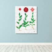 Italienische Nelke 2 Leinwanddruck (Insitu (Holzboden))