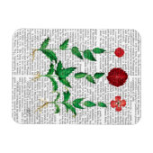 Italienische Nelke 2 Magnet (Horizontal)