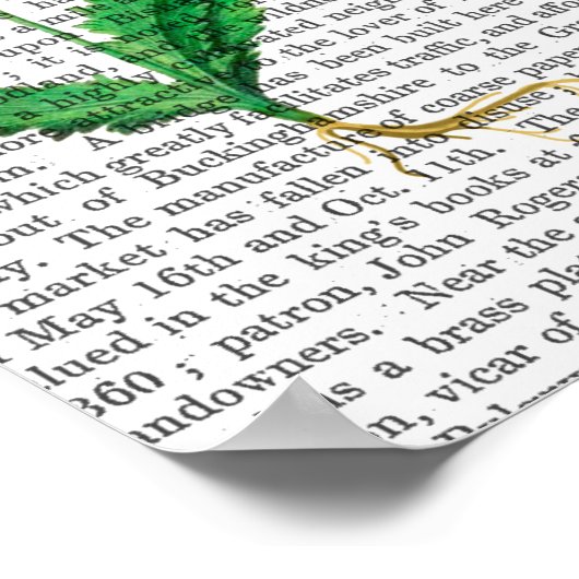 Italienische Nelke 2 Poster (Ecke)