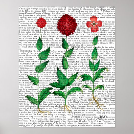 Italienische Nelke 2 Poster (Vorne)