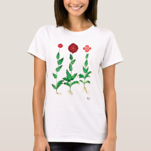 Italienische Nelke 2 T-Shirt