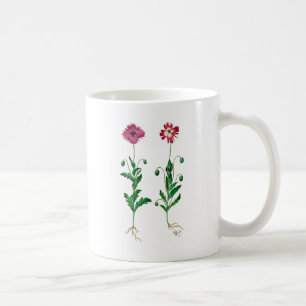 Italienische Nelke 3 Kaffeetasse