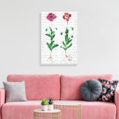 Italienische Nelke 3 Leinwanddruck (Insitu (Wohnzimmer))