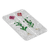 Italienische Nelke 3 Magnet (Rechte Seite)