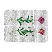 Italienische Nelke 3 Magnet (Horizontal)