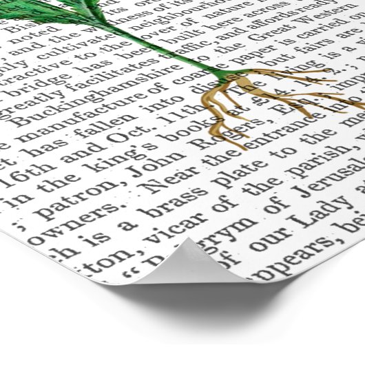 Italienische Nelke 3 Poster (Ecke)