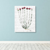 Italienische Nelke 4 Leinwanddruck (Insitu (Holzboden))