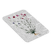 Italienische Nelke 5 Magnet (Rechte Seite)