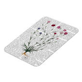 Italienische Nelke 5 Magnet (Linke Seite)