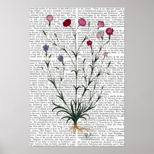 Italienische Nelke 5 Poster (Vorne)