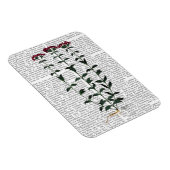 Italienische Nelke 6 Magnet (Rechte Seite)