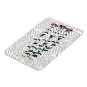 Italienische Nelke 6 Magnet (Linke Seite)