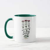 Italienische Nelke 6 Tasse (Links)