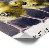 Italienische Ostern Vintage Postkarte von 1906 Poster (Ecke)