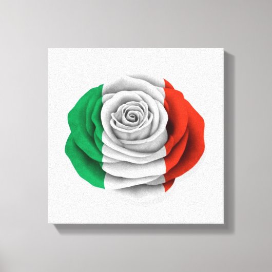 Italienische Rose - Weißflagge Leinwanddruck (Vorderseite)