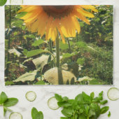 Italienische Sonnenblume Küchentuch (Gefaltet)