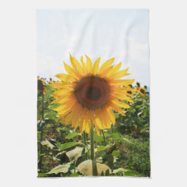 Italienische Sonnenblume Küchentuch
