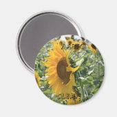Italienische Sonnenblume Magnet (Vorderseite/Rückseite)