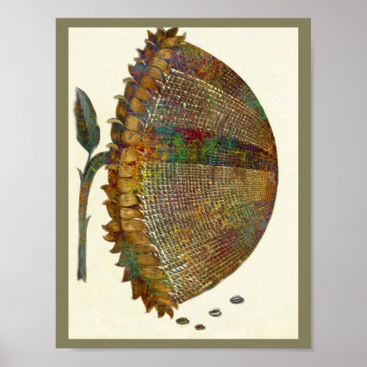 Italienische Sonnenblume Poster (Vorne)