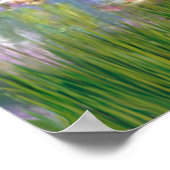 Italienische Spinone 12 - Lilies 2 Poster (Ecke)