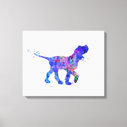 Italienische Spinone Leinwanddruck (Vorderseite)