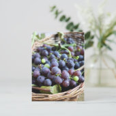 Italienische Trauben Postkarte (Stehend Vorderseite)