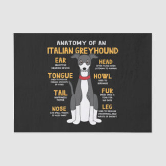 Italienische Windhund Anatomie Funny Hunde Mama Va Seidenpapier