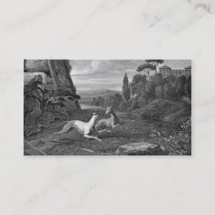 Italienische Windhunde-Hundezeichnung Visitenkarte
