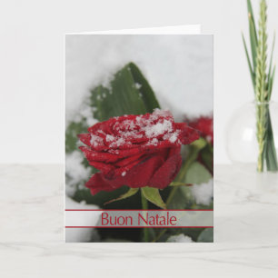 Italienische Winter-Rose Weihnachtskarte Feiertagskarte