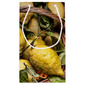 Italienische Zitronen in einem Korb Kleine Geschenktüte (Rückseite)