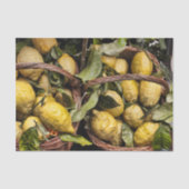 Italienische Zitronen in einem Korb Seidenpapier (Vorderseite)