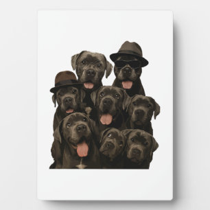 Italienischer Corso-Hund Fotoplatte