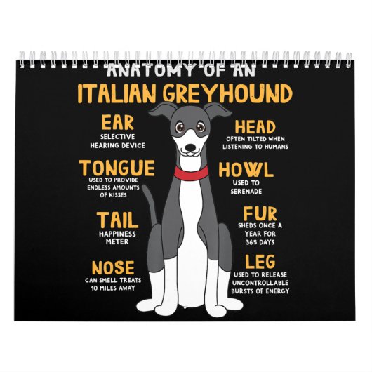 Italienischer Grauhound Anatomie Funny Hund Mama V Kalender (Titelbild)