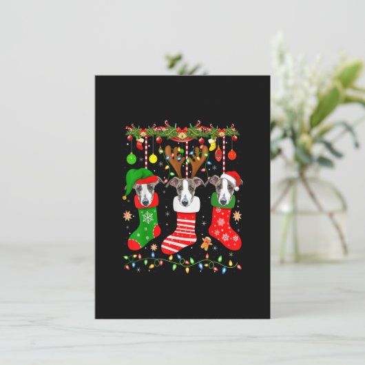 Italienischer Grauhund Hund in Weihnachtssocken Li Einladung (Stehend Vorderseite)