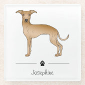 Italienischer Grauhund Niedlicher Hund mit benutze Glasuntersetzer (Vorderseite)