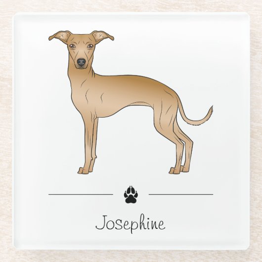 Italienischer Grauhund Niedlicher Hund mit benutze Glasuntersetzer (Vorderseite)