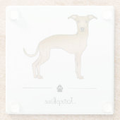 Italienischer Grauhund Niedlicher Hund mit benutze Glasuntersetzer (Rückseite)