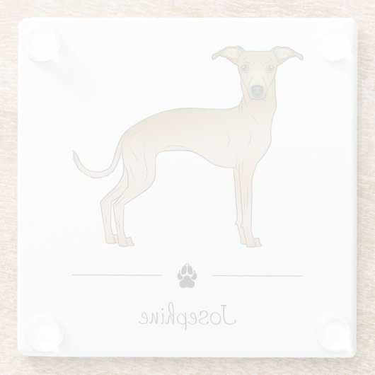 Italienischer Grauhund Niedlicher Hund mit benutze Glasuntersetzer (Rückseite)