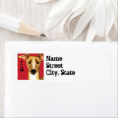 Italienischer Greyhound-Farbblock (Insitu)